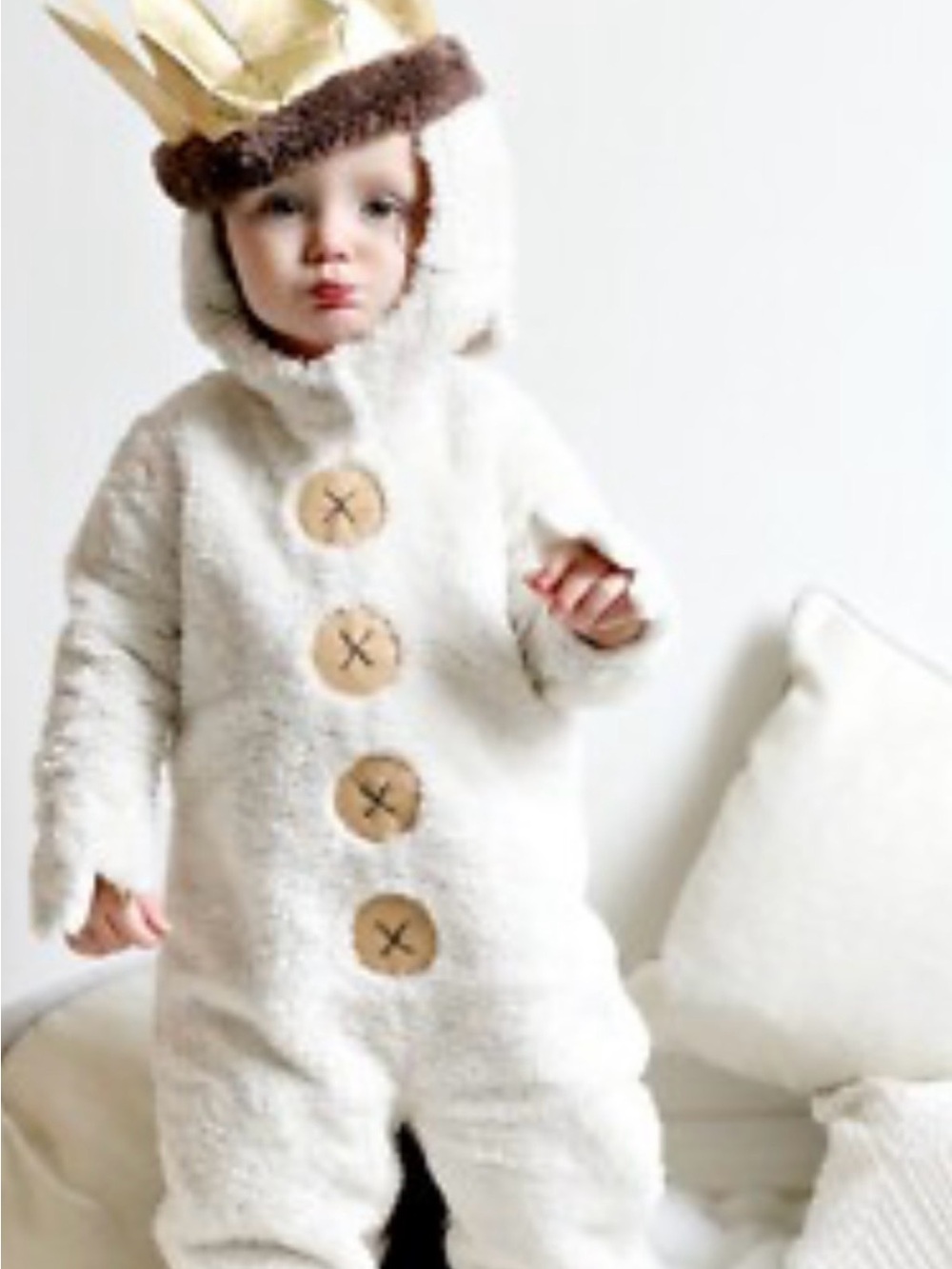 Where The Wild Things Are - Pottery Barn Costume (3T)